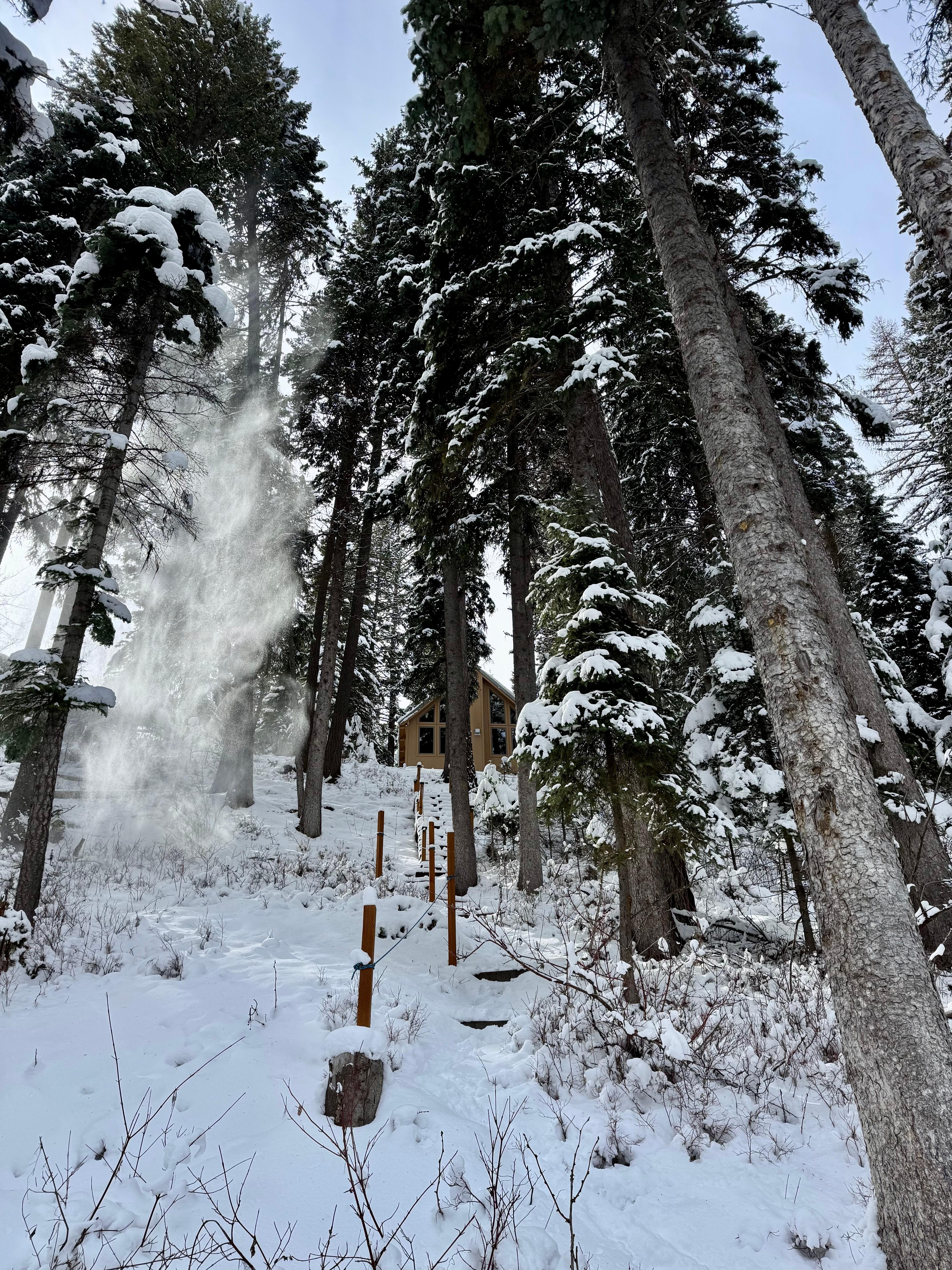 From the river bank looking up at the cabin. 