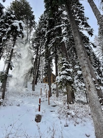 From the river bank looking up at the cabin.