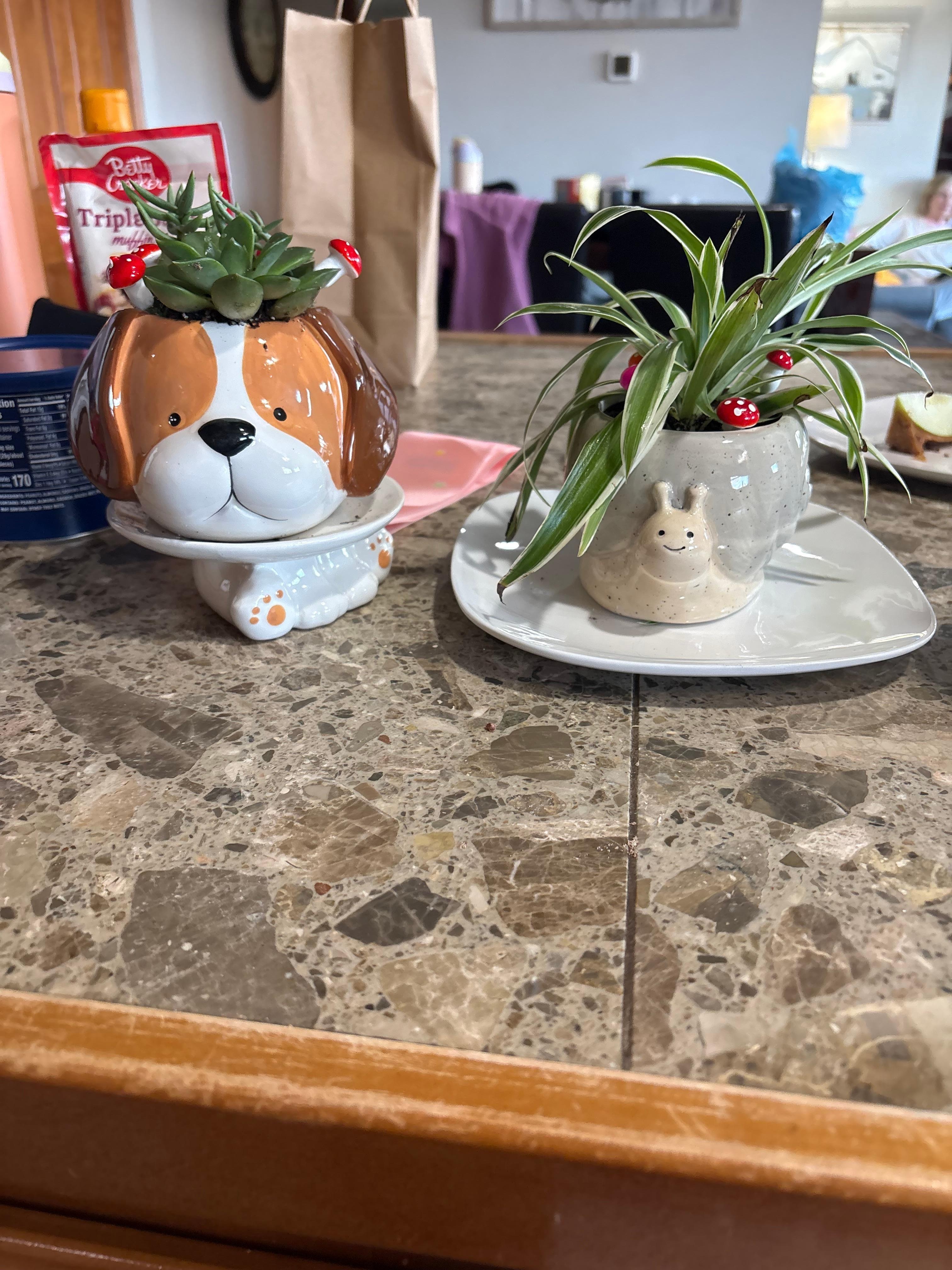 Try the DIY Carley and Cass studio in Sylvia.  So much to do in one little art studio 