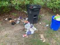 Garbage in the yard