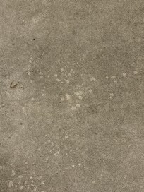 Filthy carpet