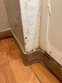 The bathroom lining to the shower/tub and bugs