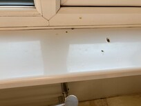 Bathroom window sill. No blinds or curtains