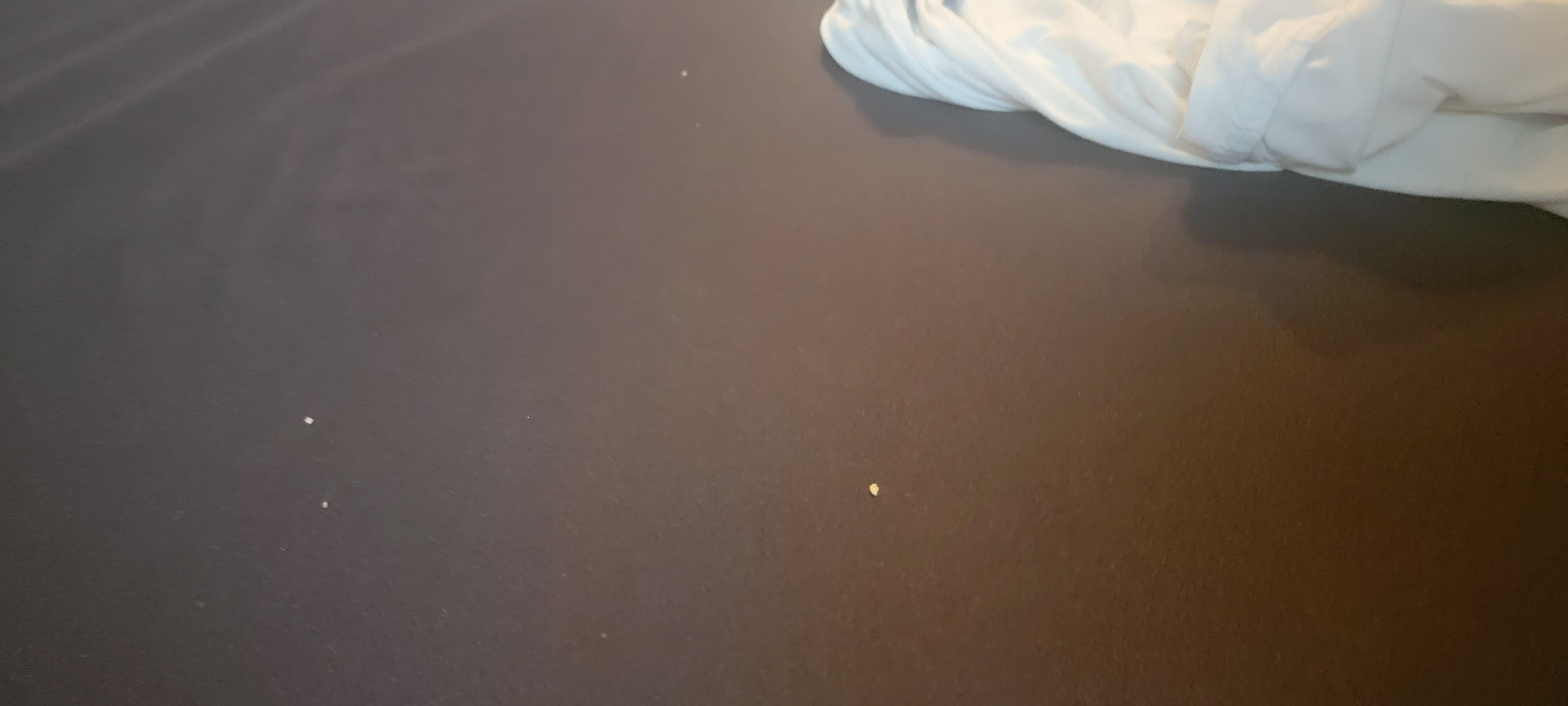Food under sheets and dust 