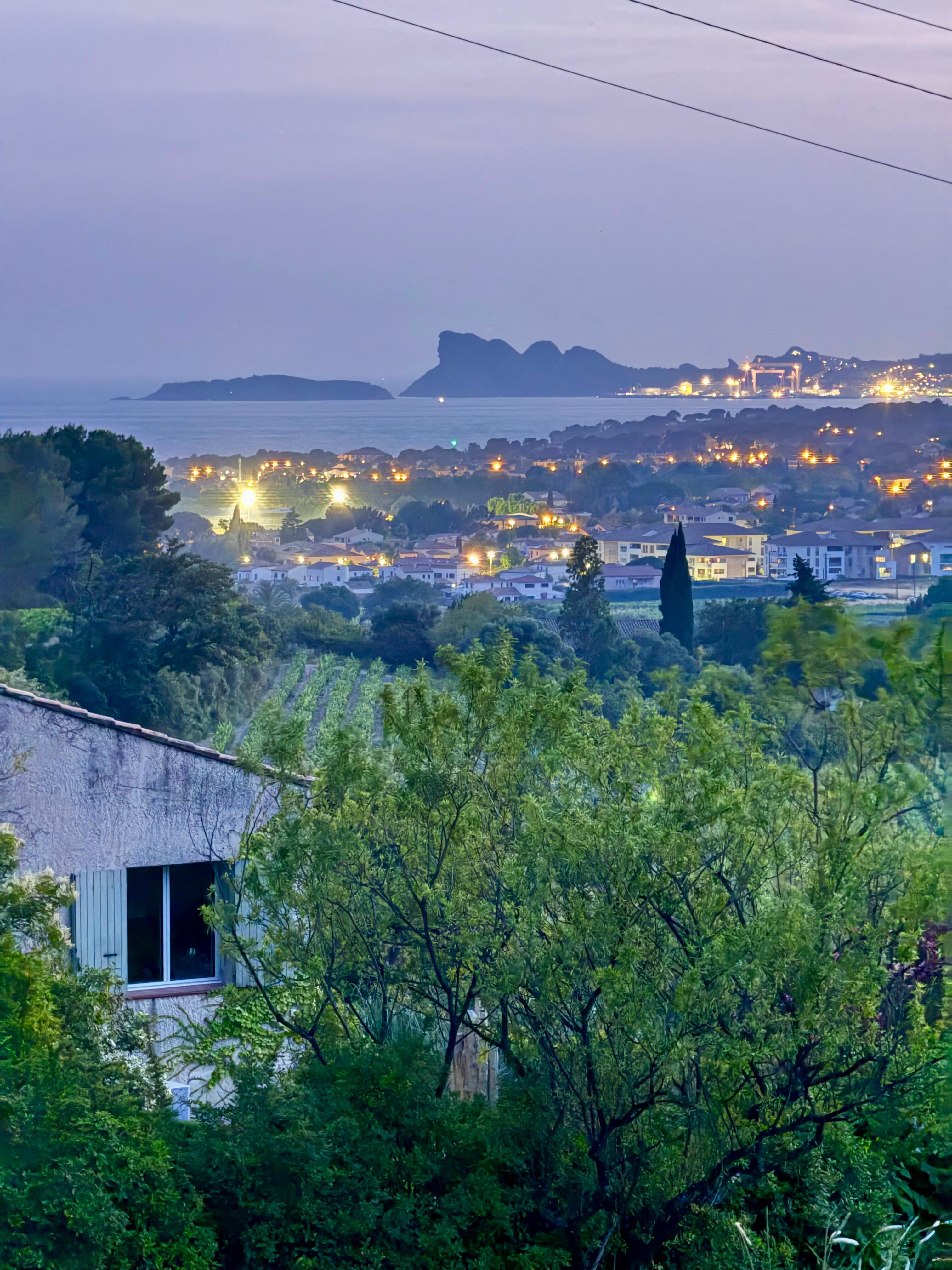 View over vineyards to the sea