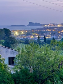 View over vineyards to the sea