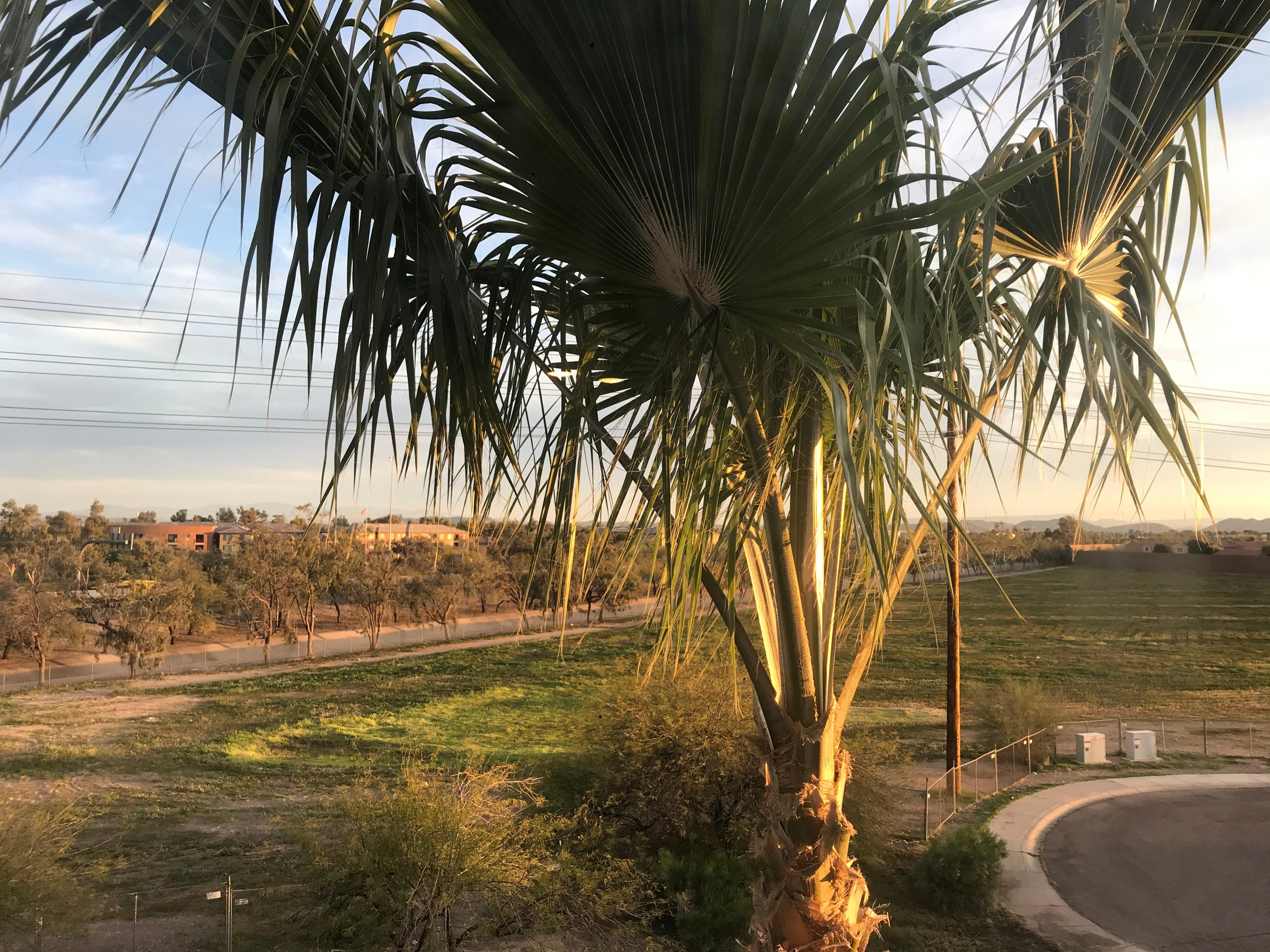 Blick aus unserem Appartement 