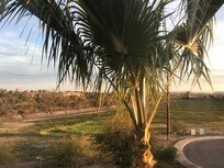 Blick aus unserem Appartement