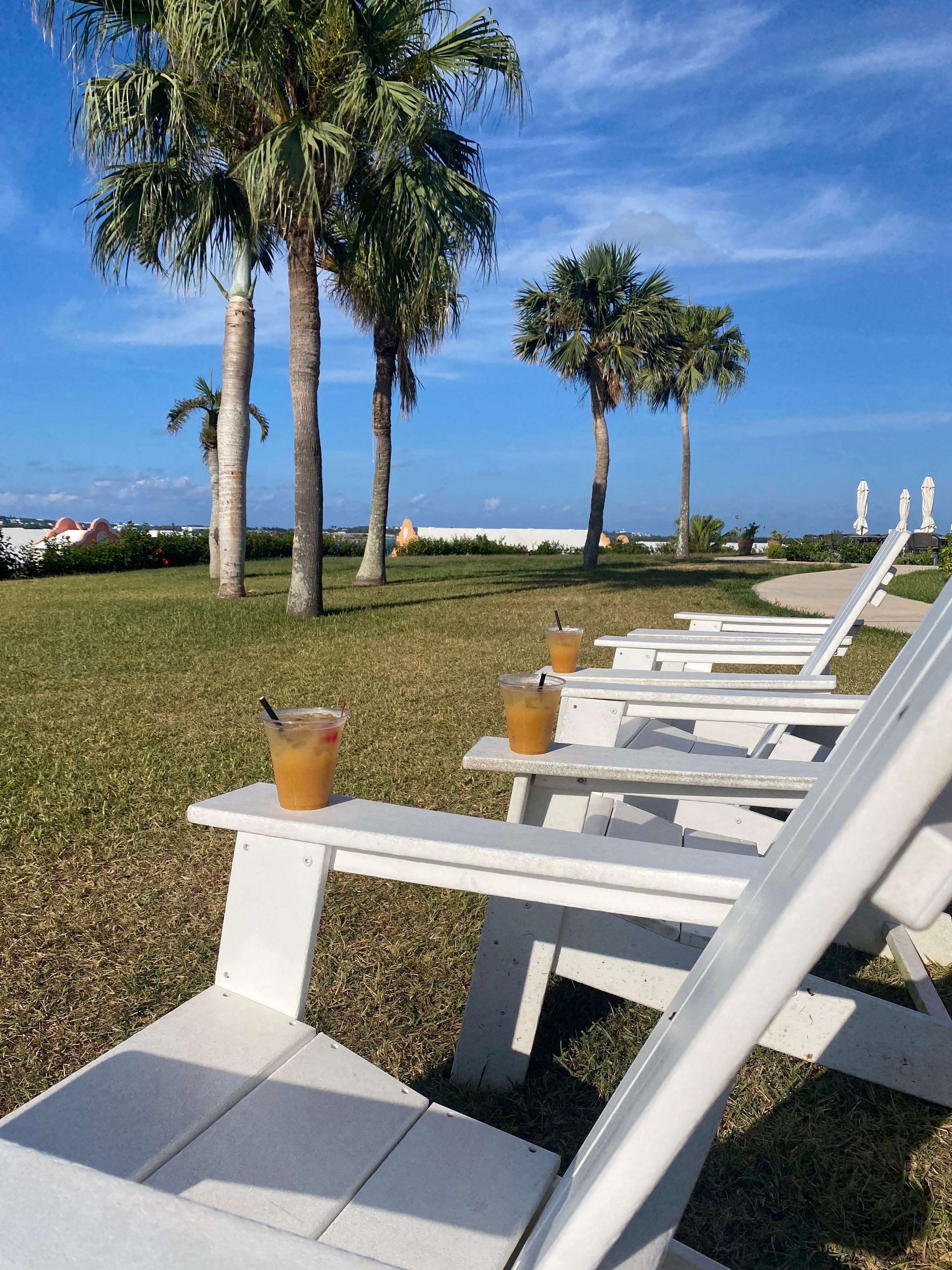 The view and a drink.