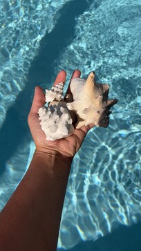 Piscine avant