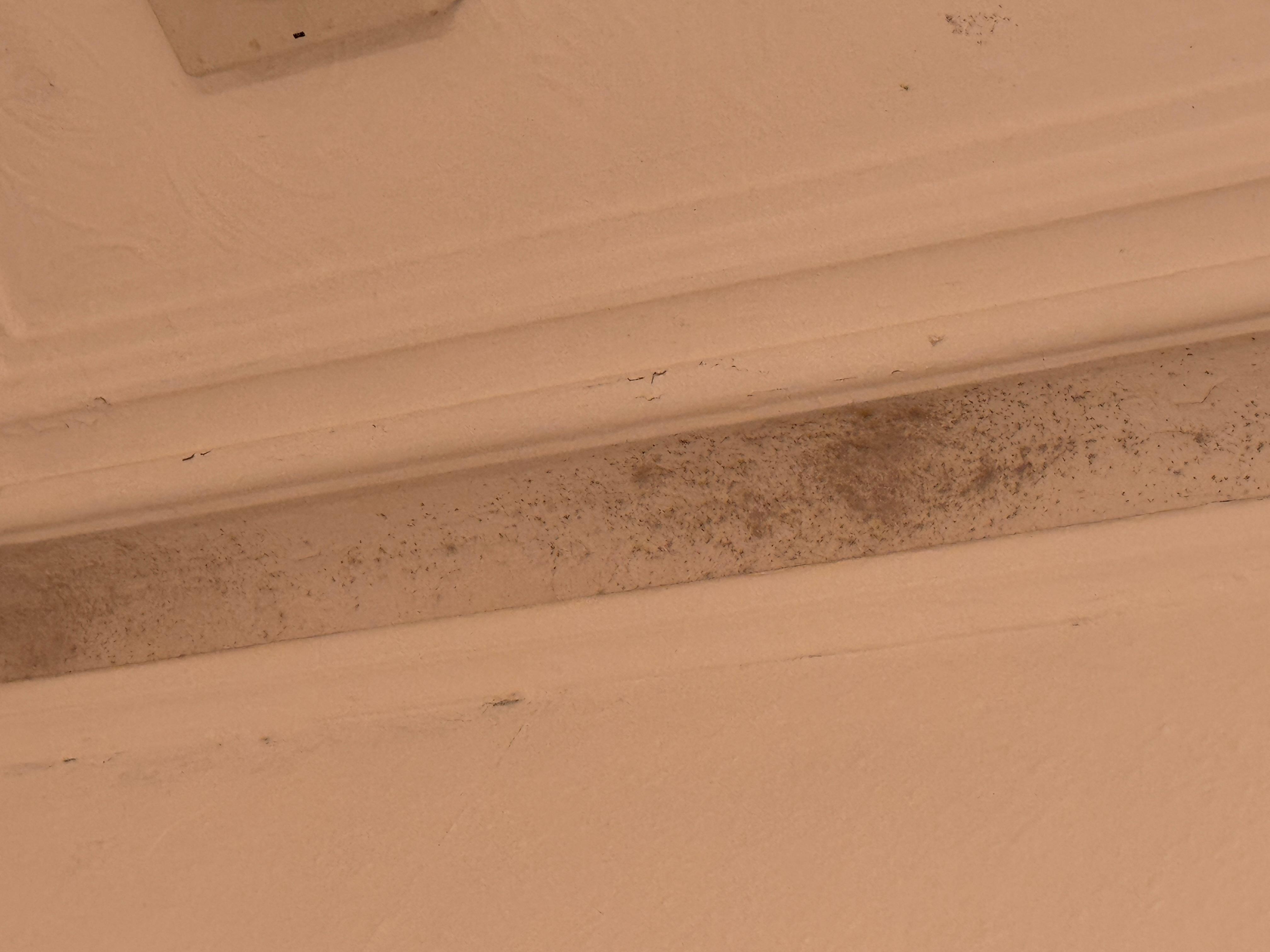 Mold on ceiling