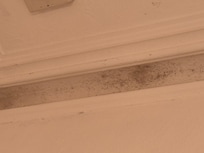 Mold on ceiling