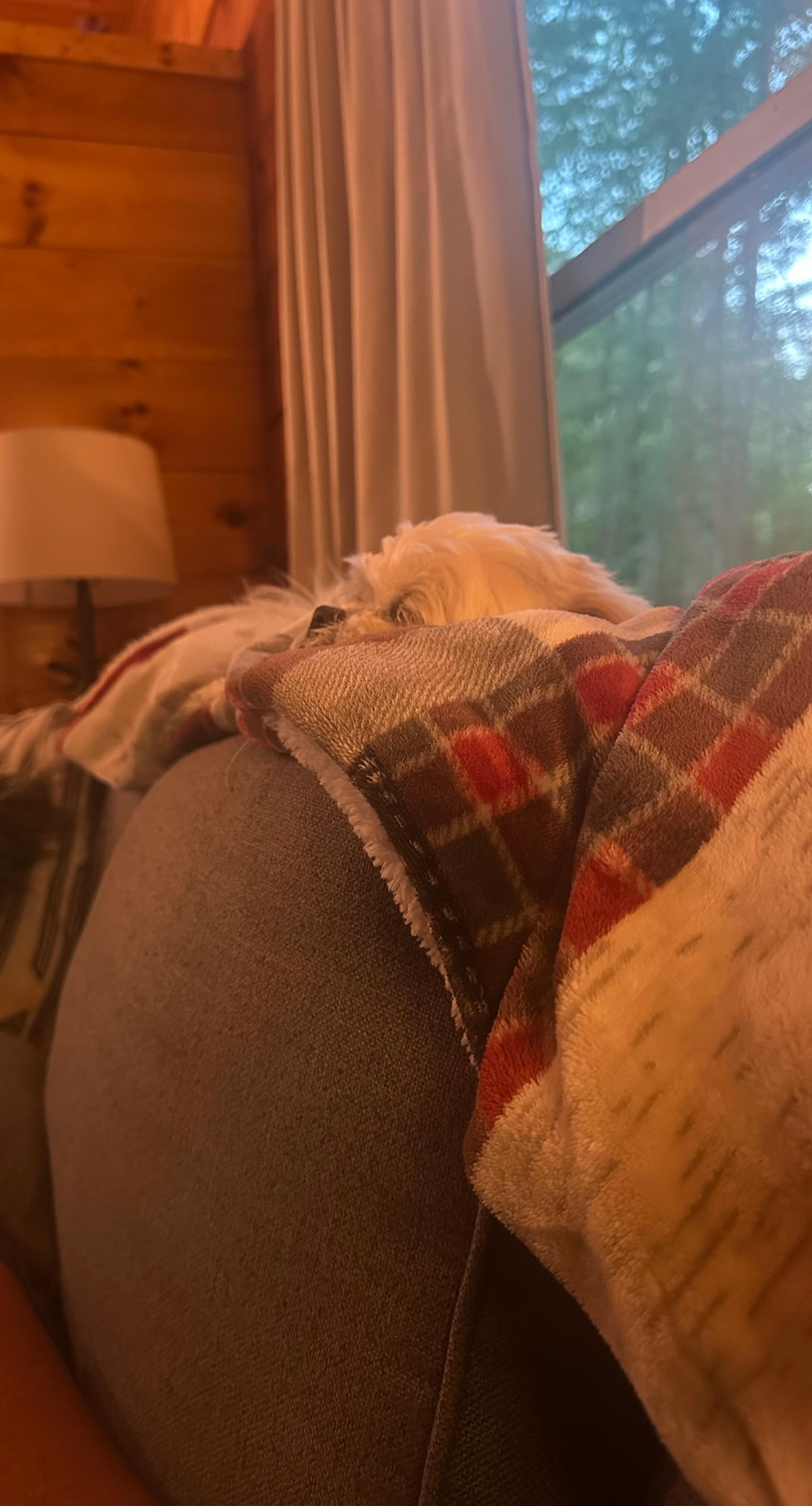 Couch and my dog! 