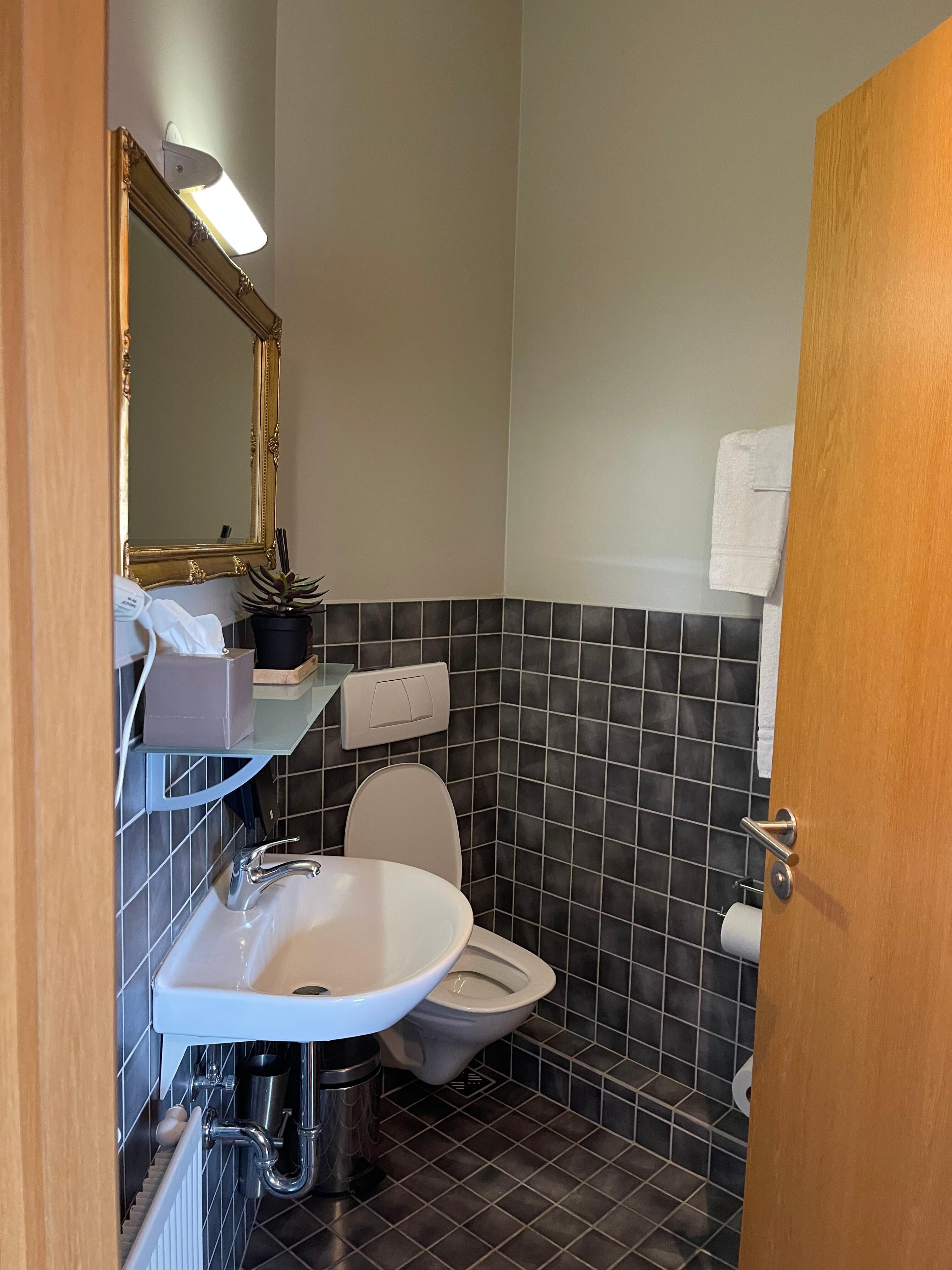Spacious bathroom .. shower  behind door 