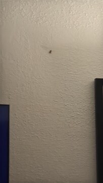 That’s a ROACH in room 309 and I shims be COMPENSATED for my stay