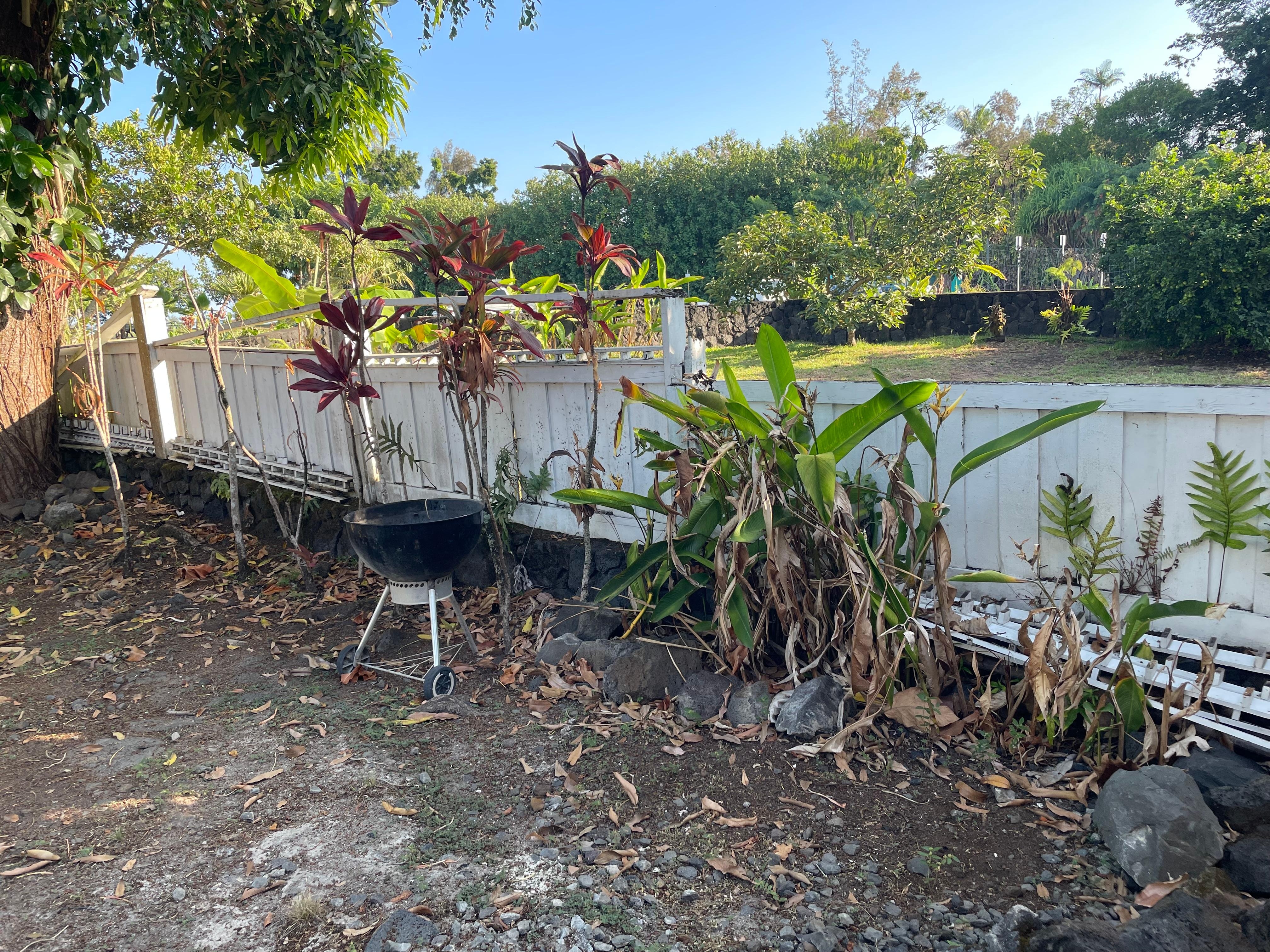 The fence outback is rotted and parts are falling down. 