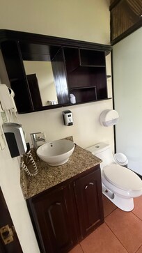 Toilet and sink. Mirror too high, poor lighting, toilet paper dispenser behind toilet. Awkward