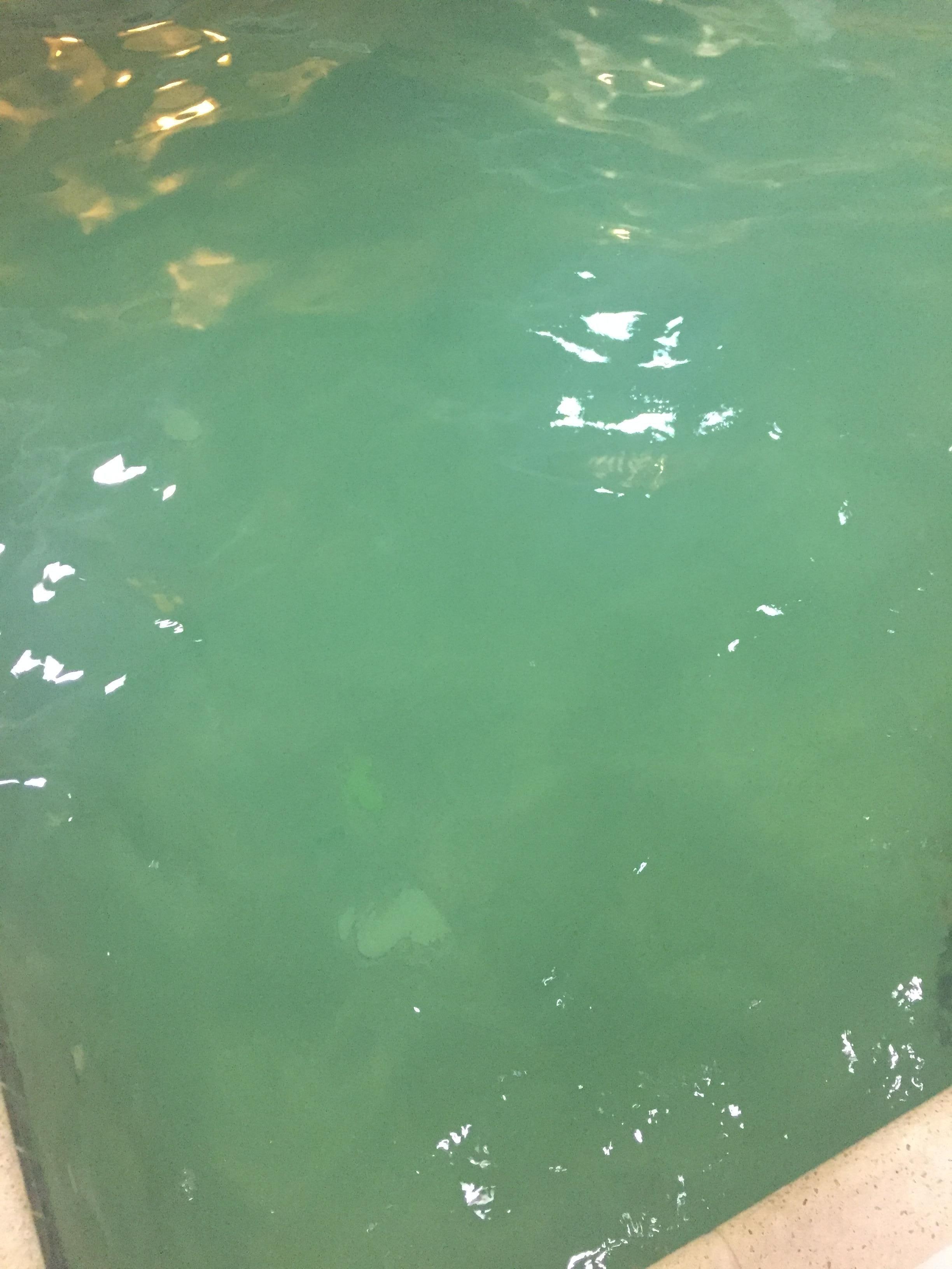 Pool water
