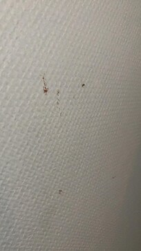 En av mange flekker på soverommet.