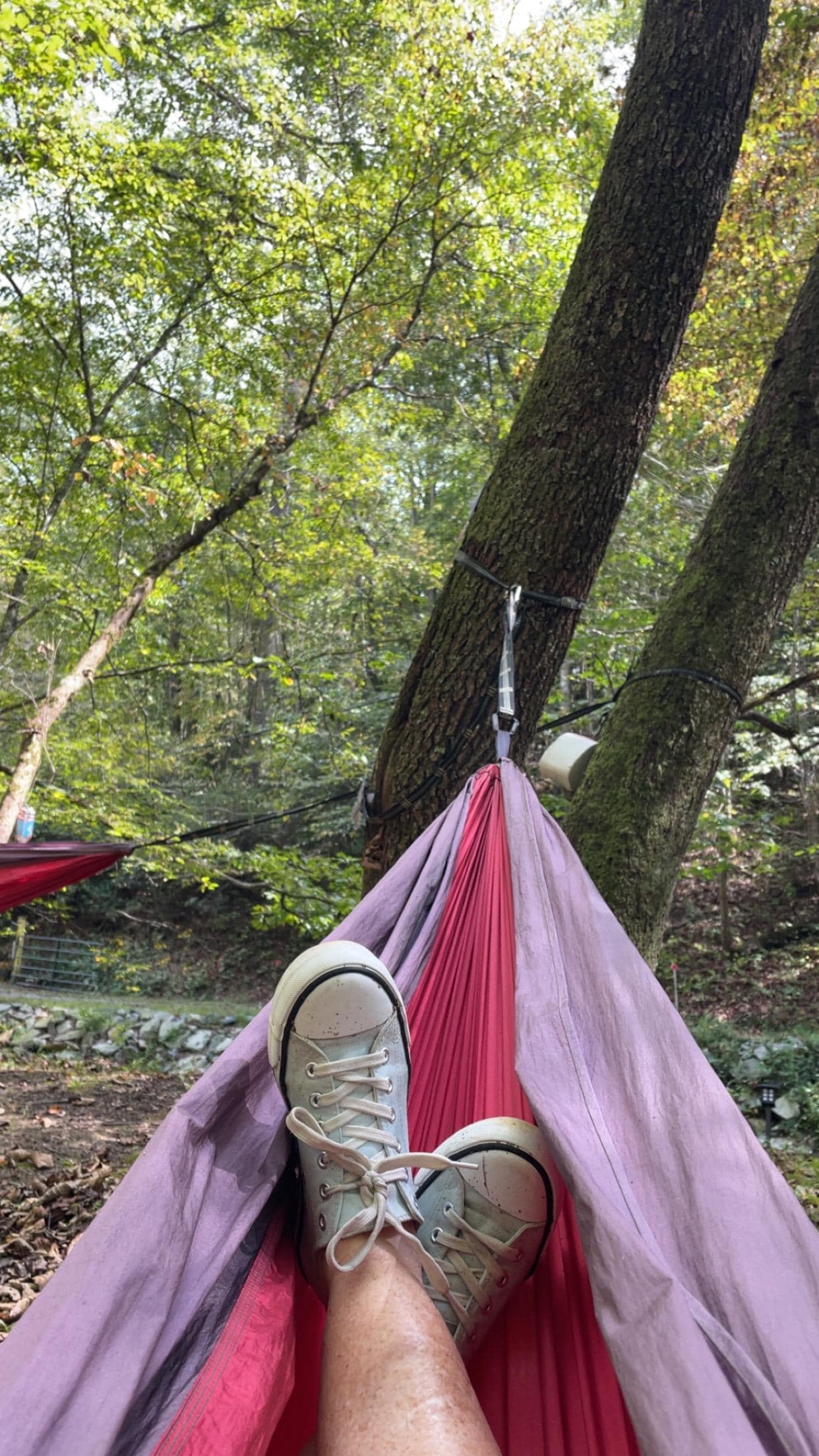 Lounging in the hammock. 