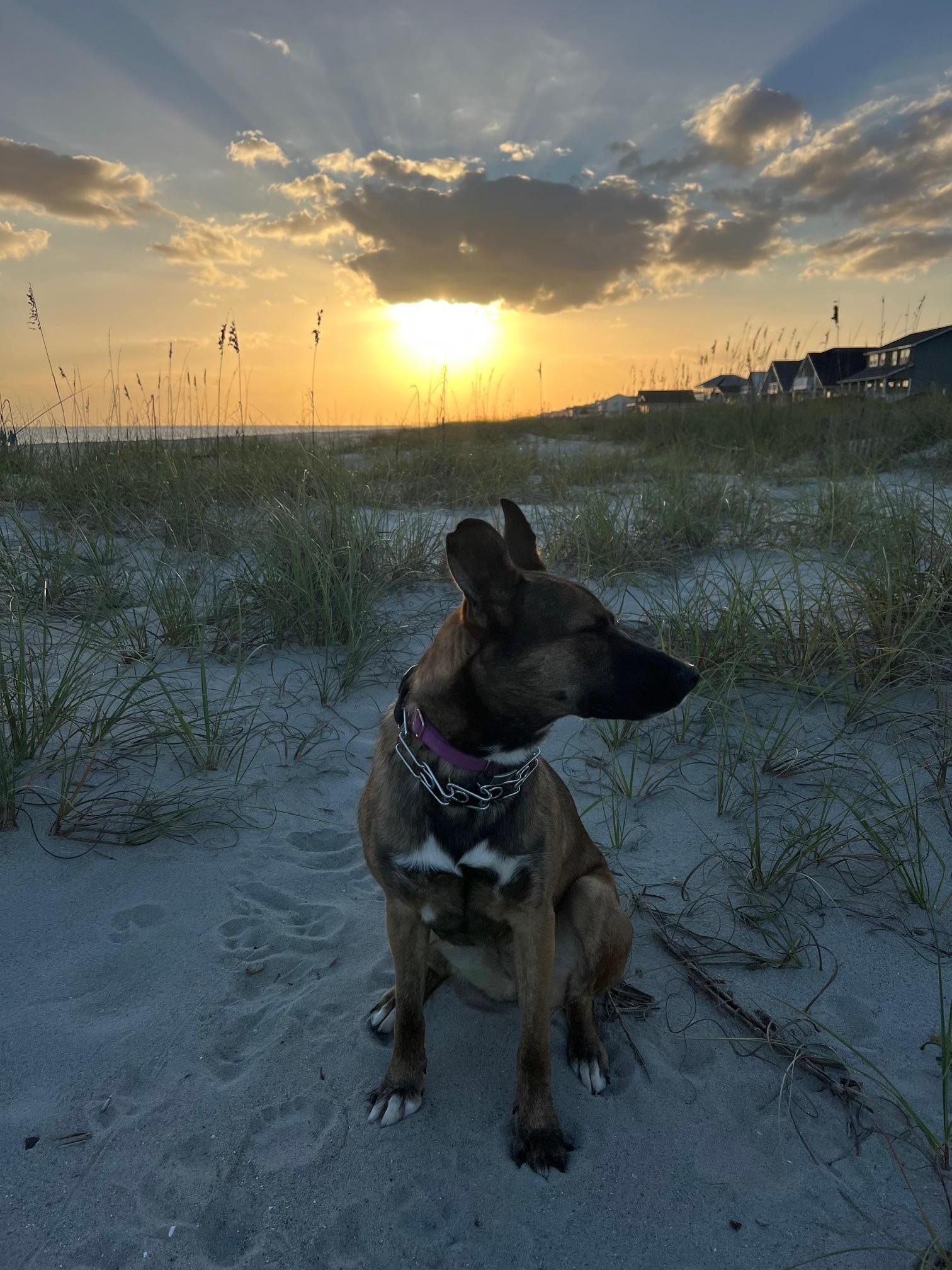 Our girl loving the beach and sand