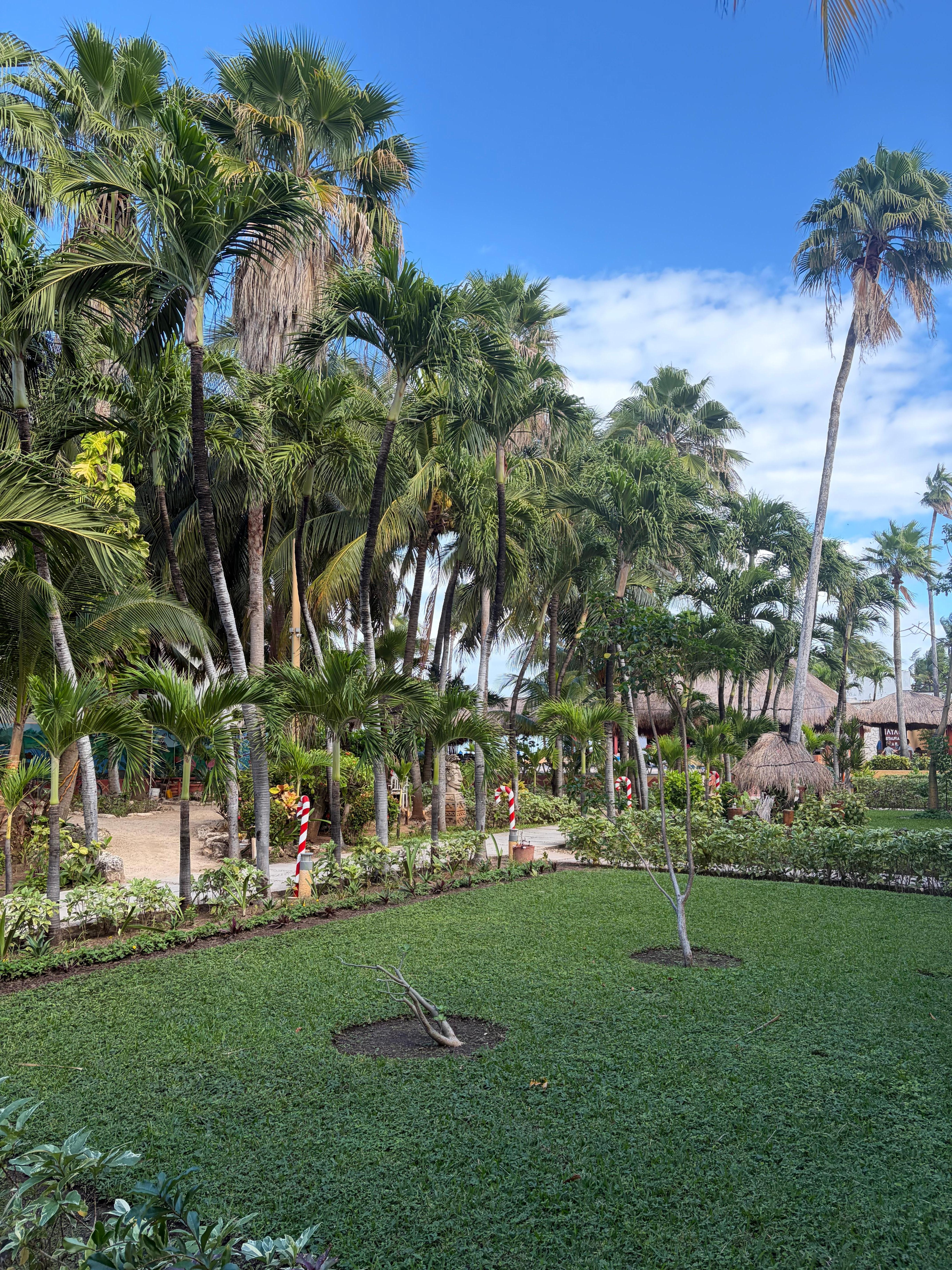 Grounds/pathway to beach