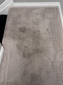 Stained carpets