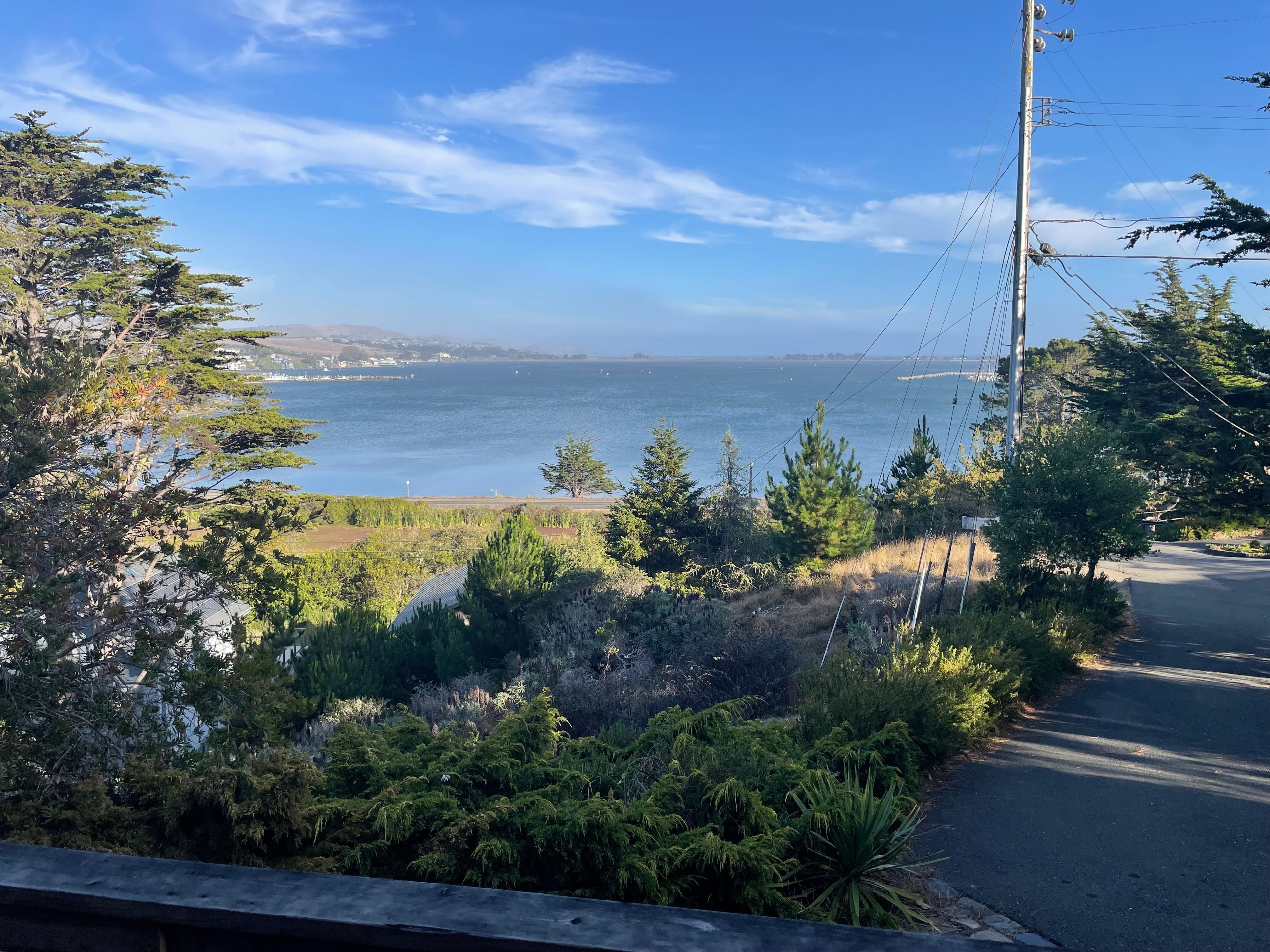 View from front deck