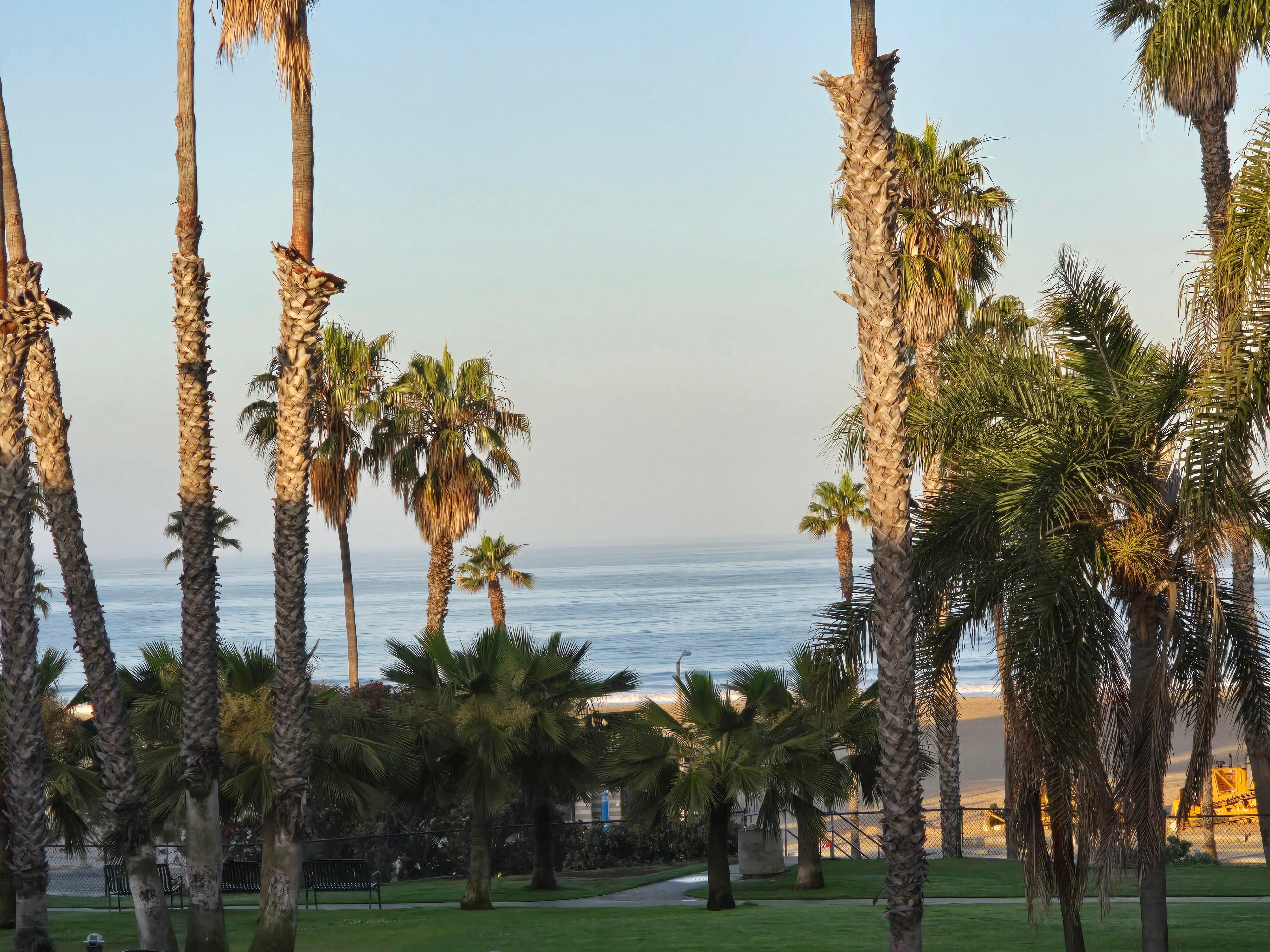 The morning view from our room