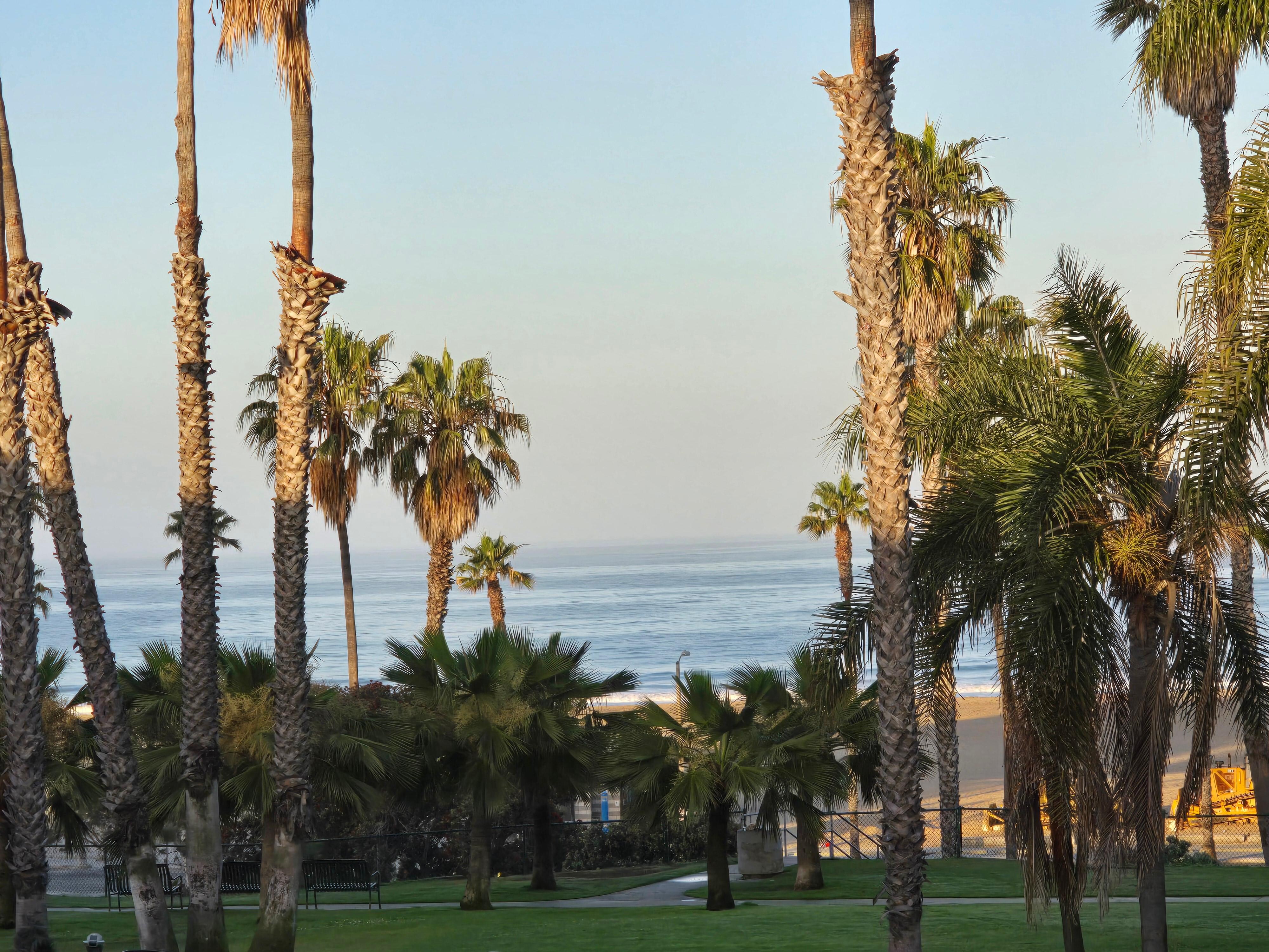 The morning view from our room