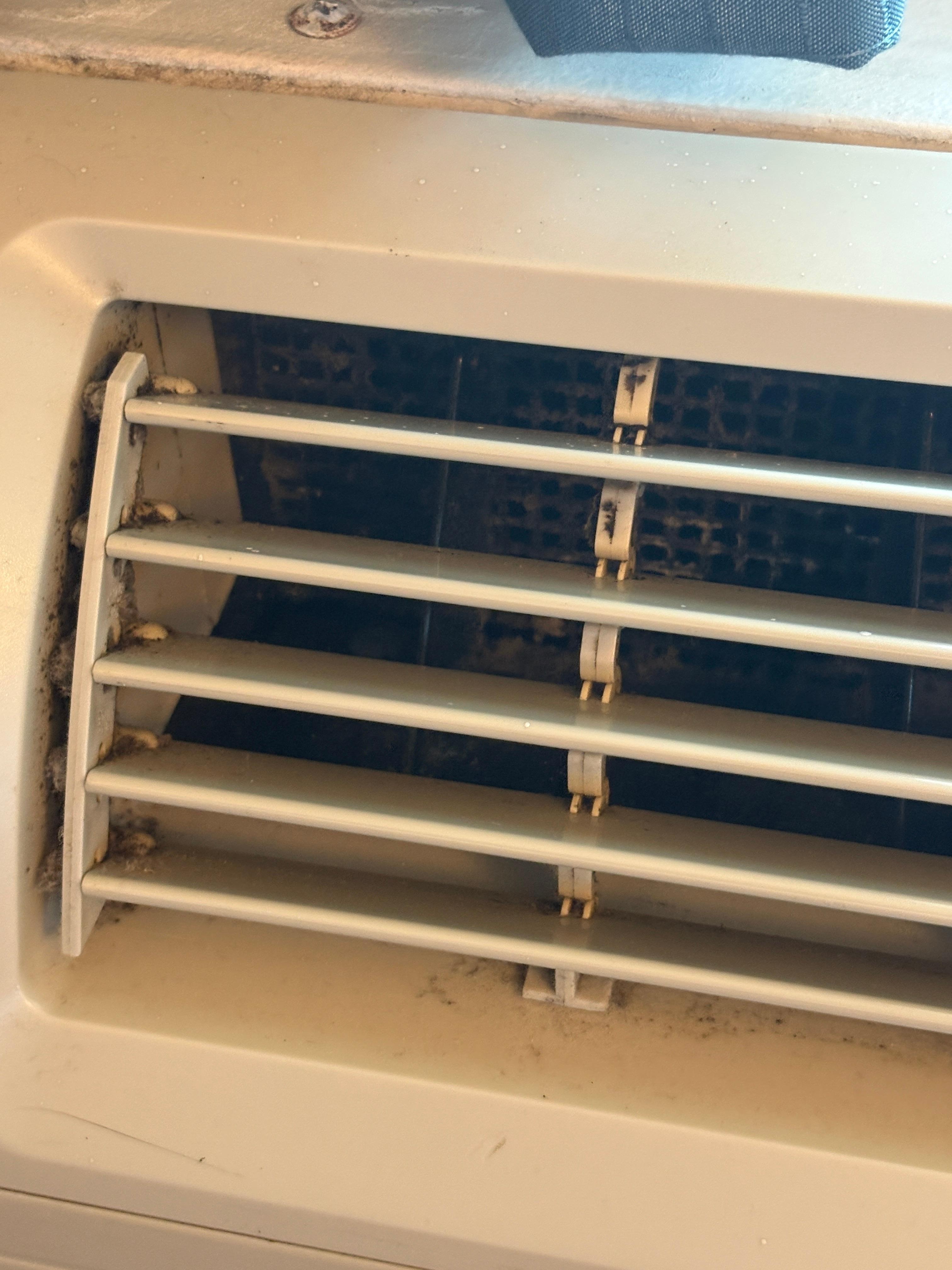 Dusty/mildew AC vent.