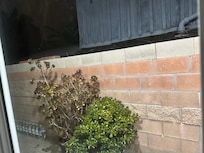Wall outside the door. Very private