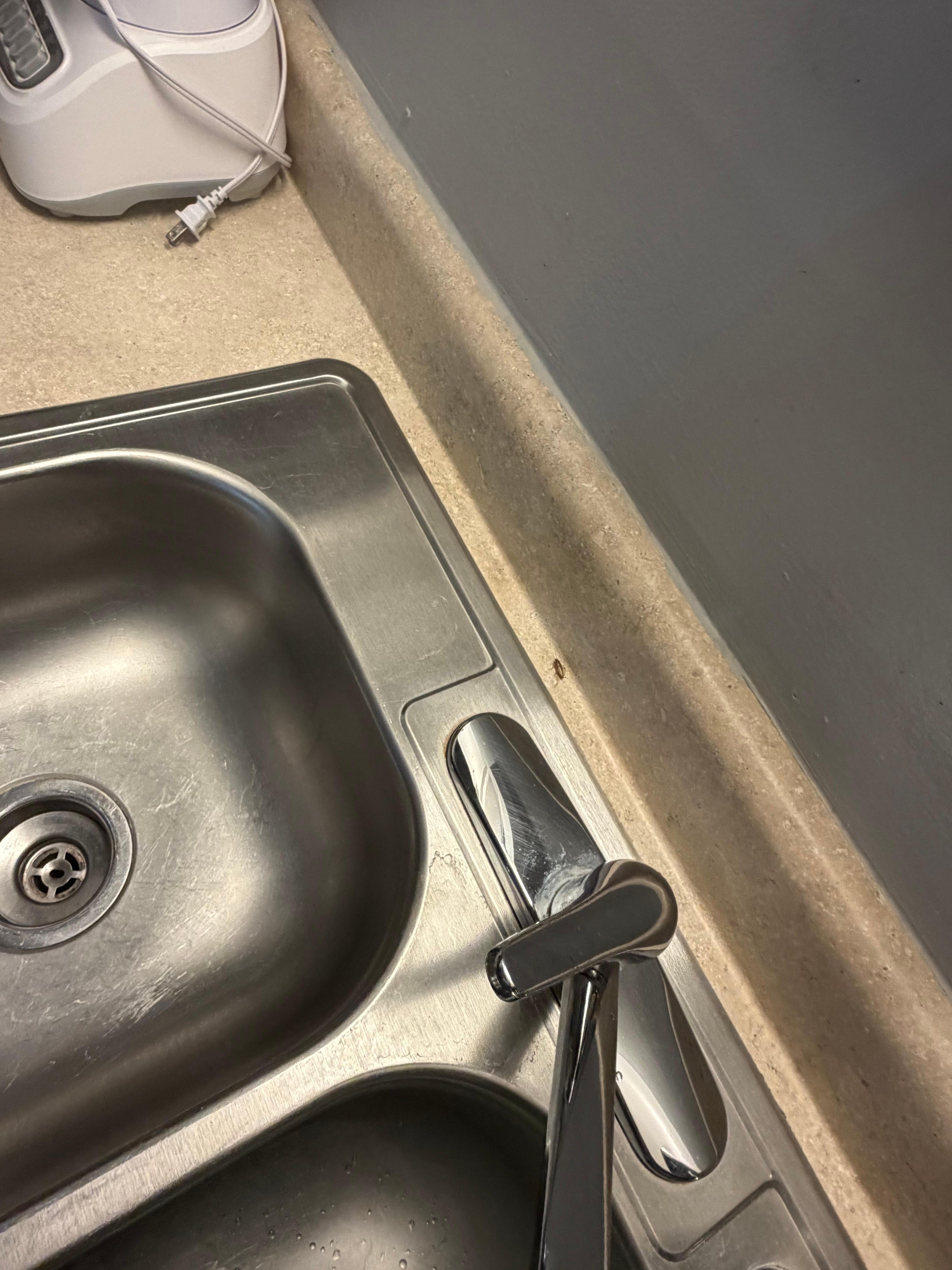 Roaches in the kitchen!