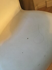 Leider war nichts sauber, sehr viele Haare