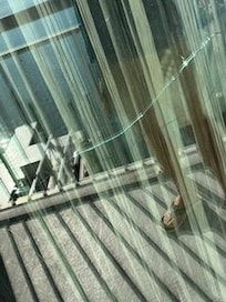 Broken glass door #2