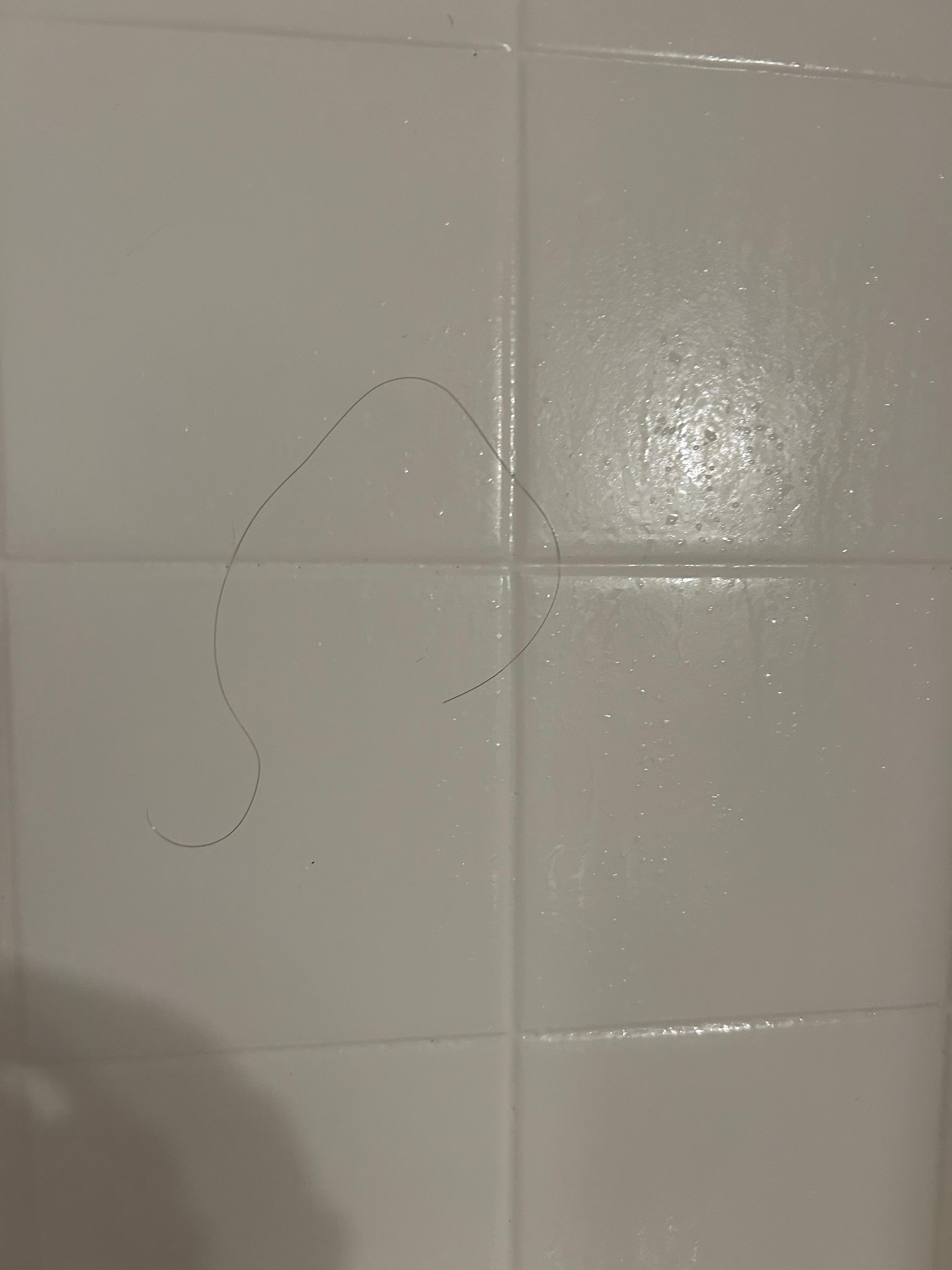 Hair left in the shower