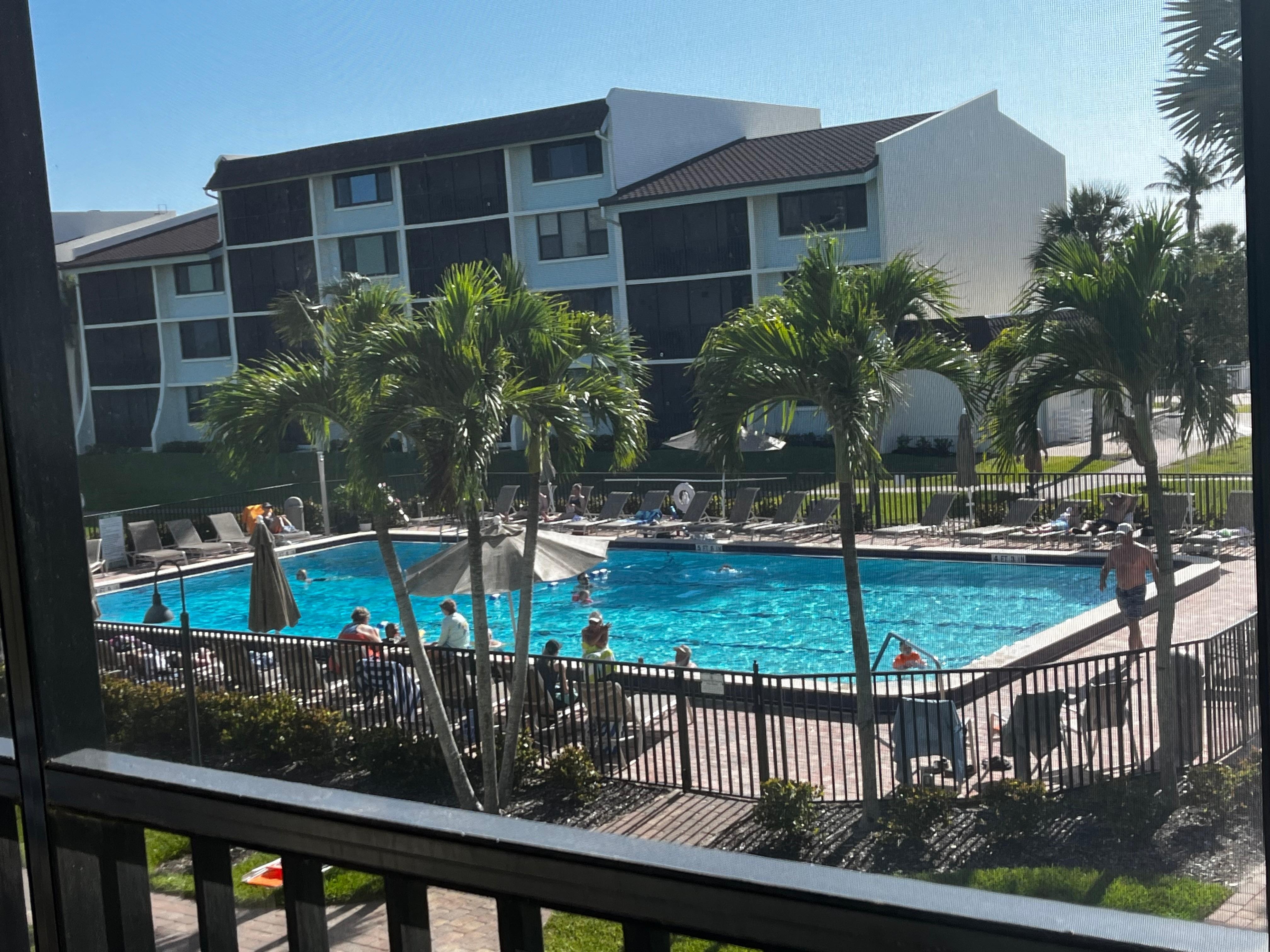 Pool view from the porch