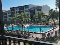 Pool view from the porch