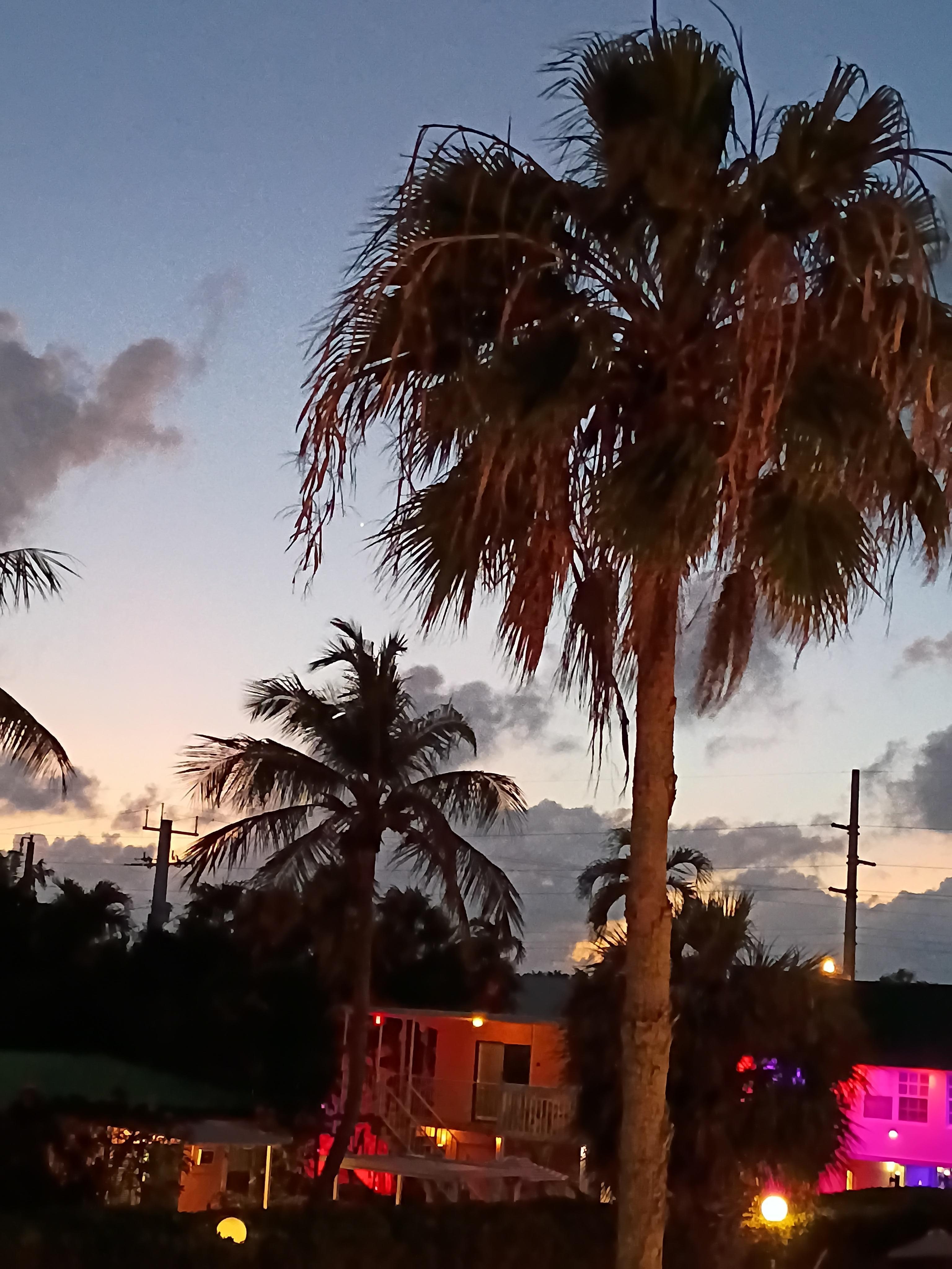 Sunset with Venus in the palm.