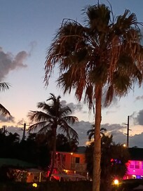 Sunset with Venus in the palm.