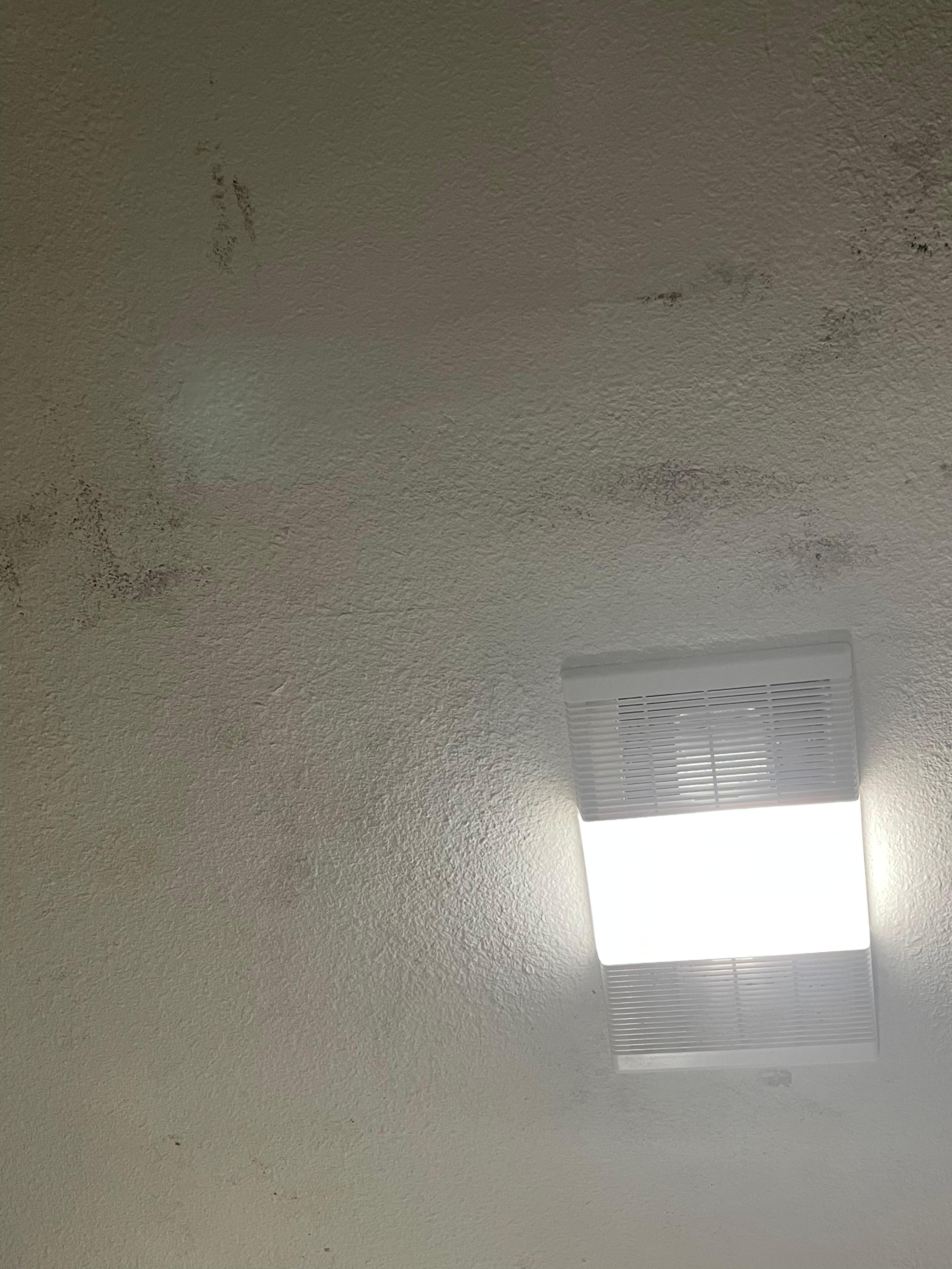 Mold/mildew on bathroom ceiling