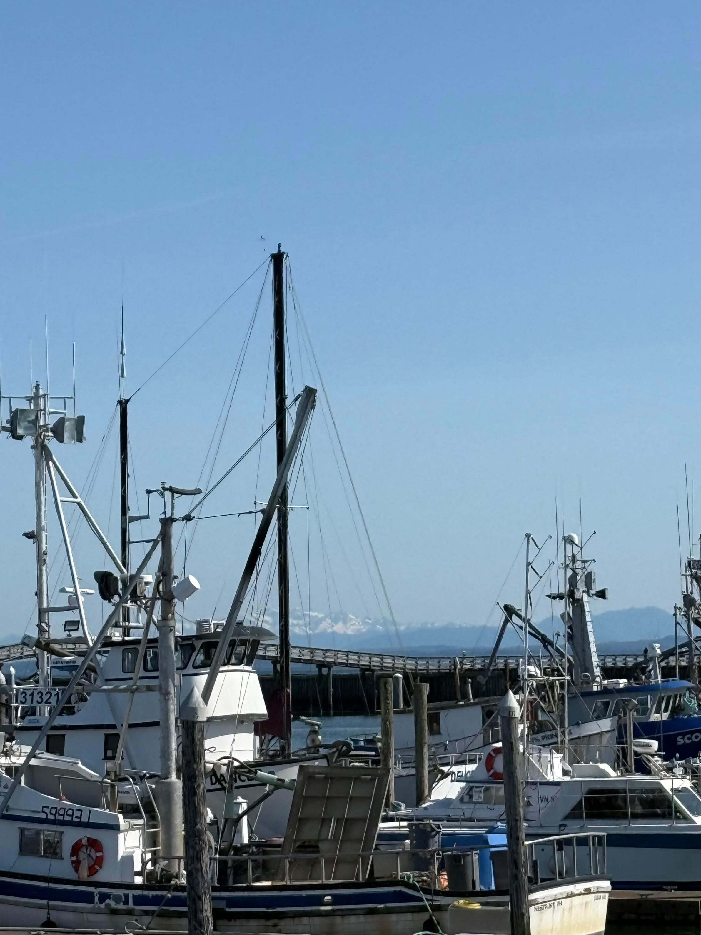 Harbor