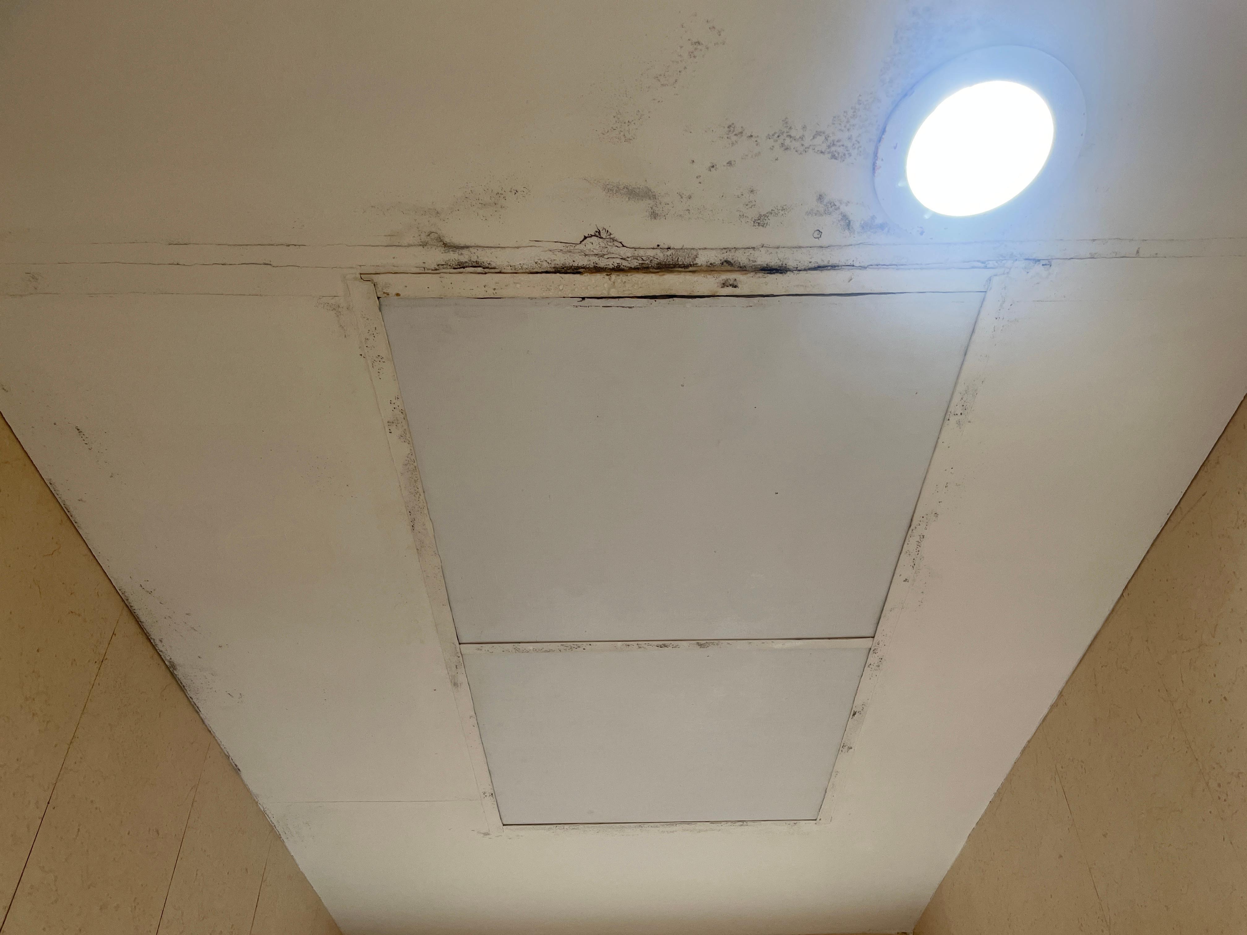 Moho en el baño