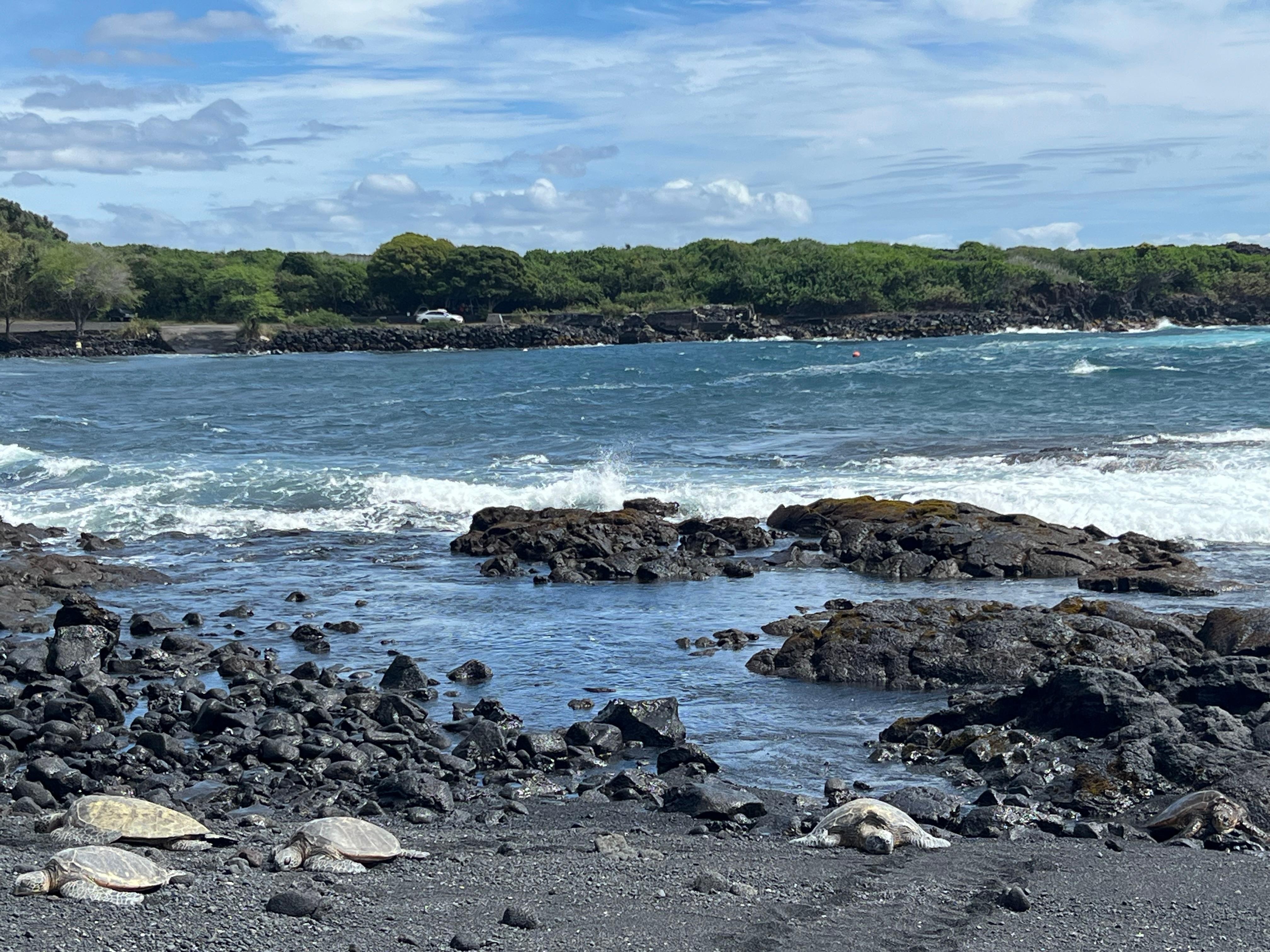 Black Sand Beach