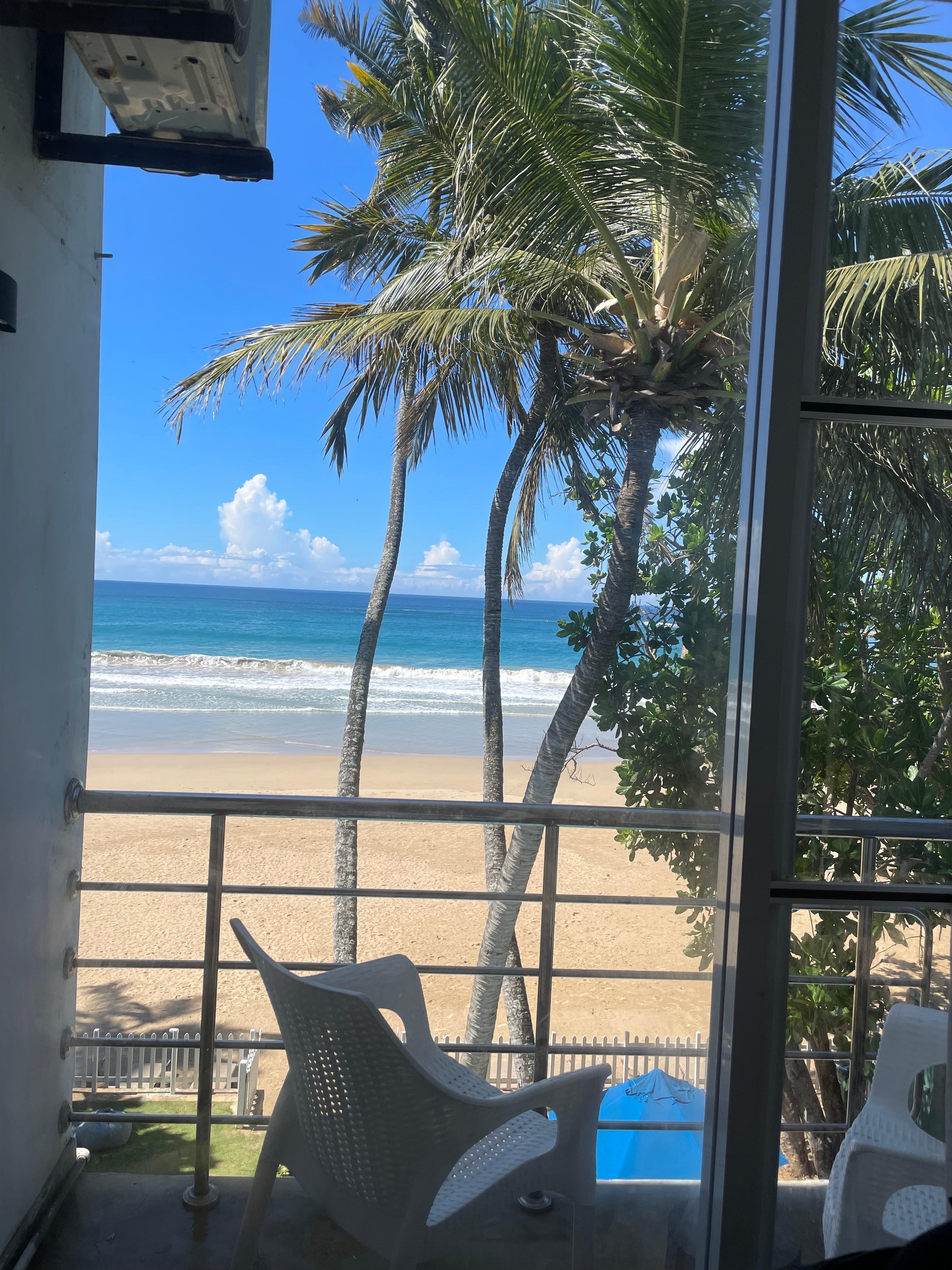 View from the room 