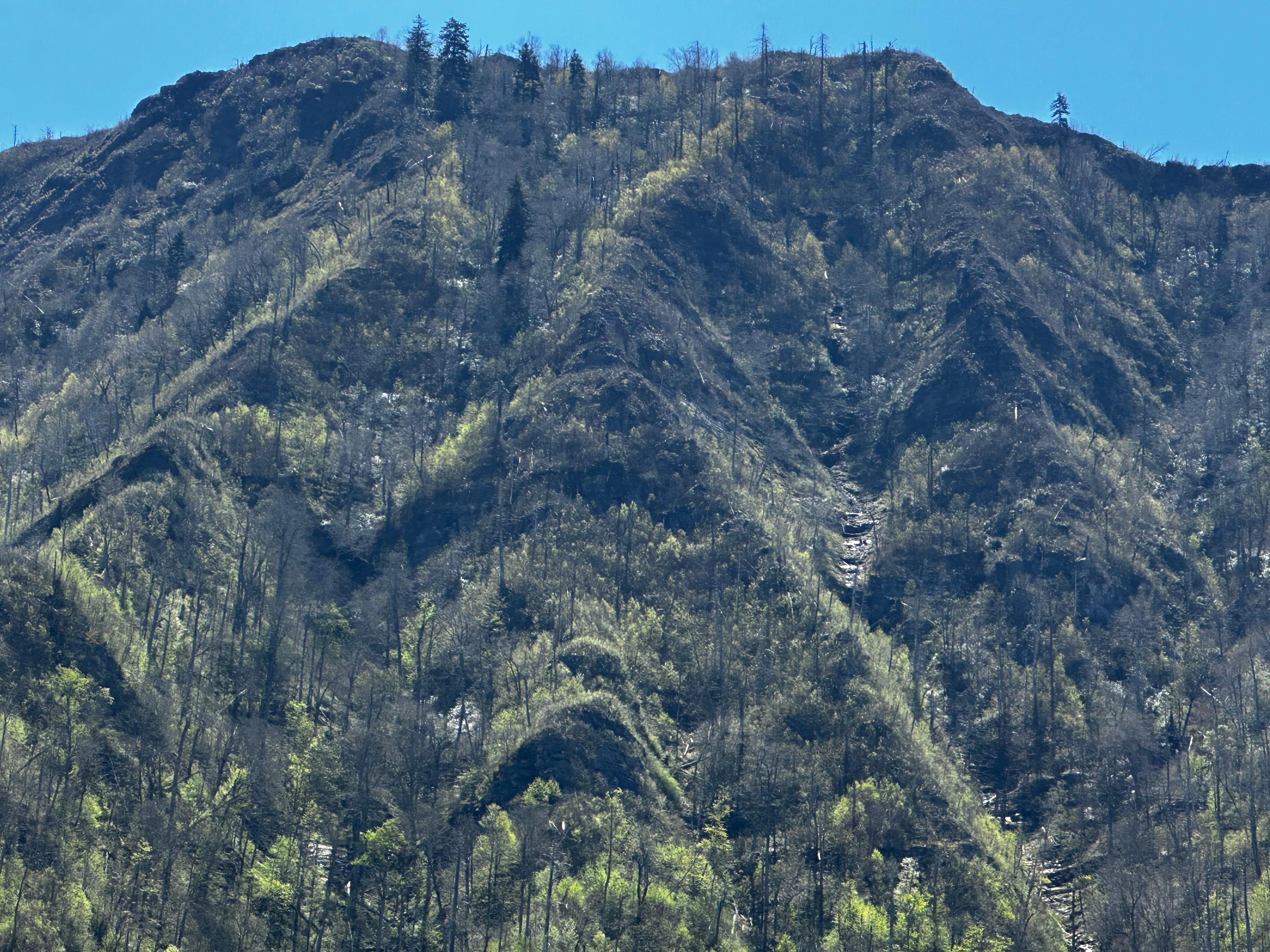 Chimney Top Mtn area about 30min away on the way to Clingman’s Dome in NC.