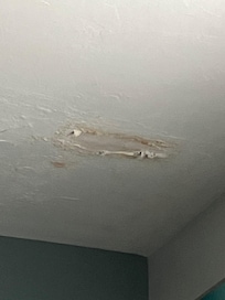 Plaster falling from ceiling