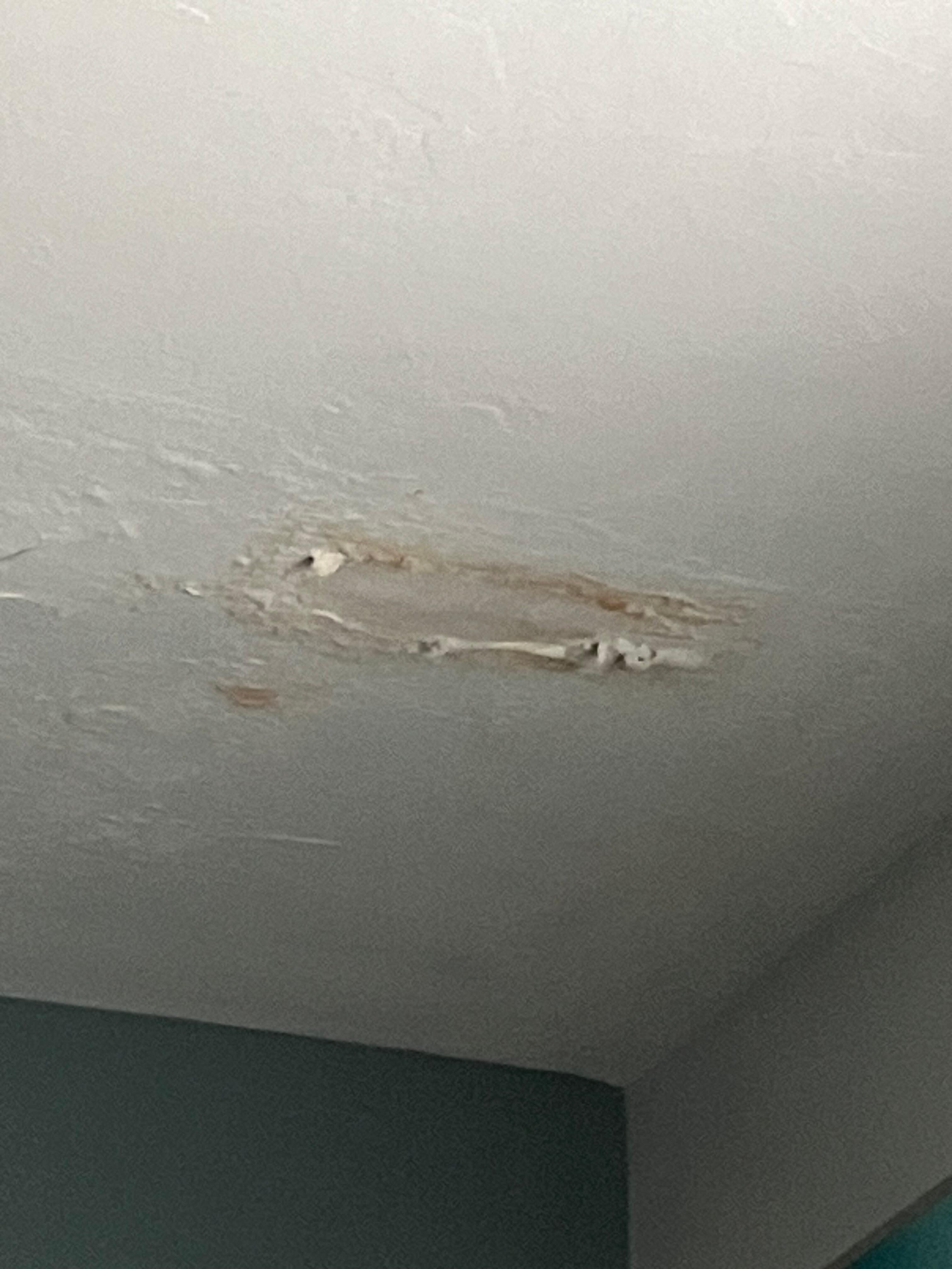 Plaster falling from ceiling 