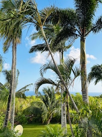 View from our balcony