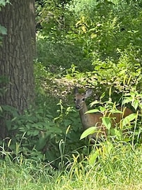 A friend we met